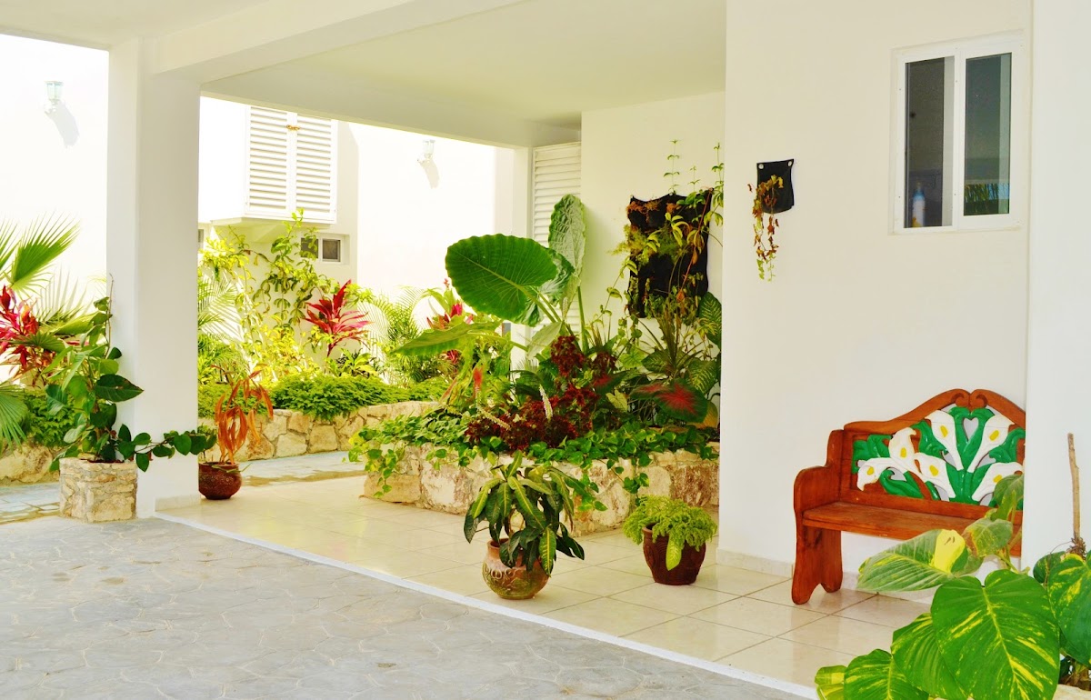 Corales Suites photo 2