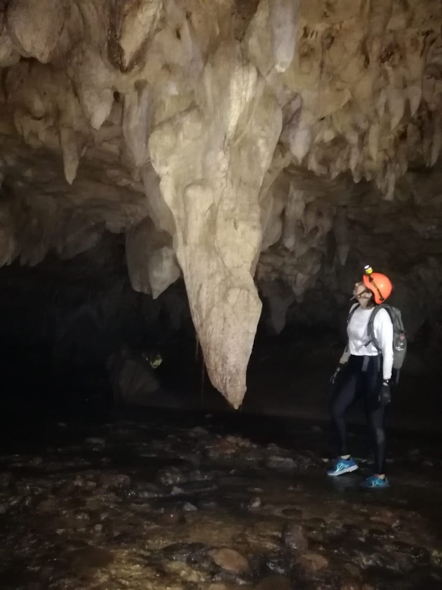 Grutas 