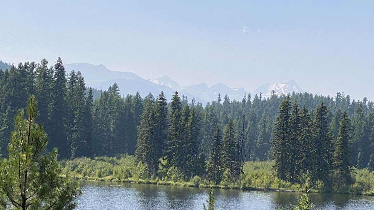 Lolo National Forest