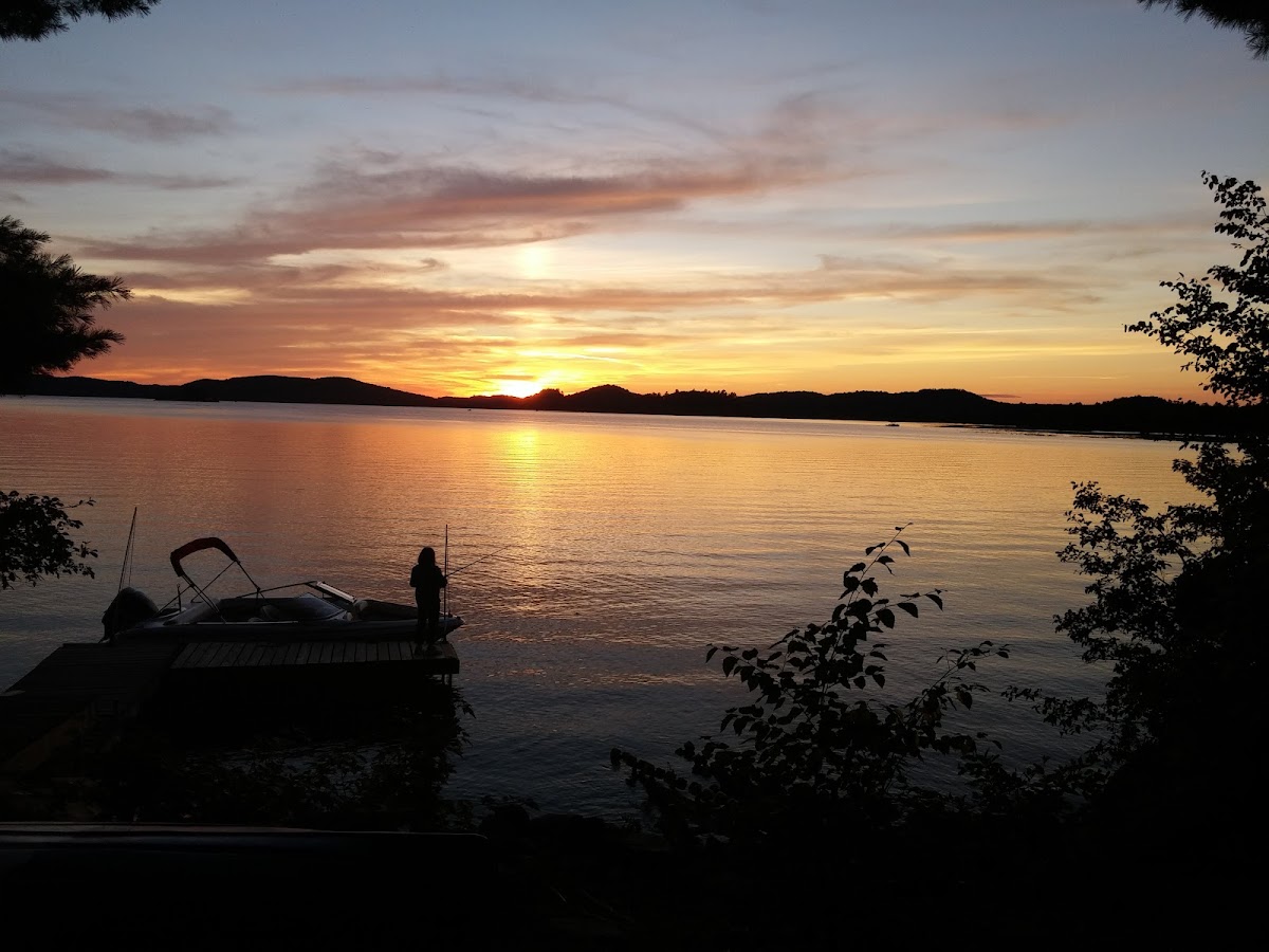 Falcon Lodge photo 3