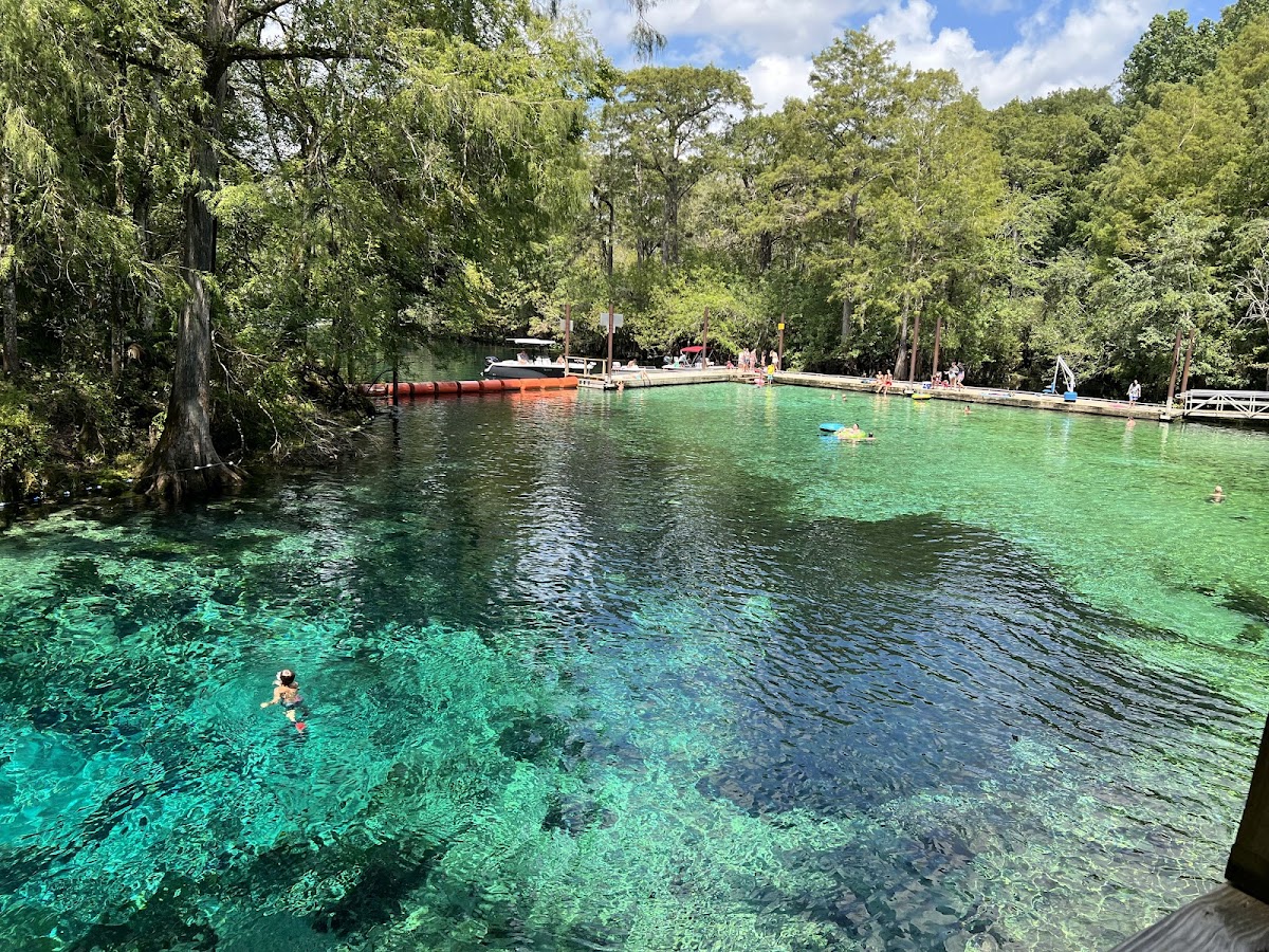 Fanning Springs State Park