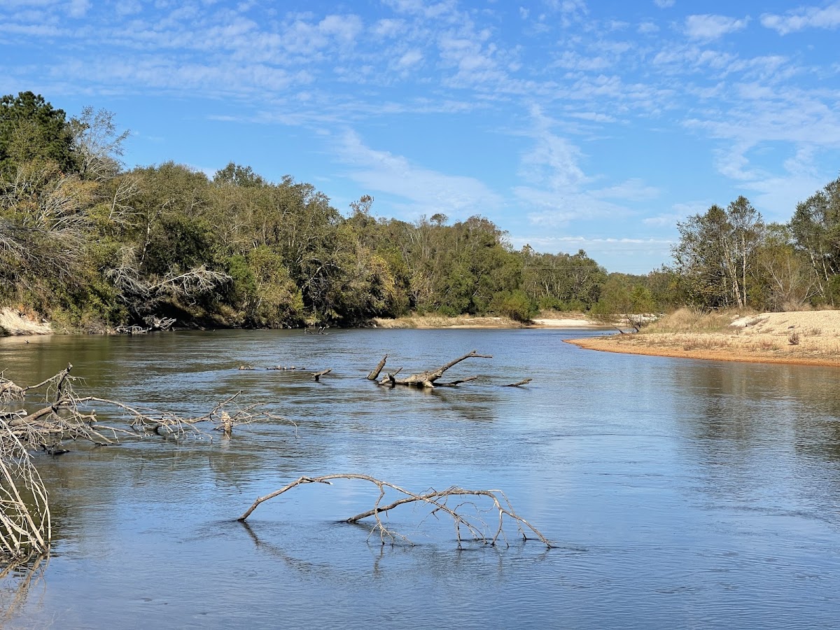 Bogue Chitto State Park