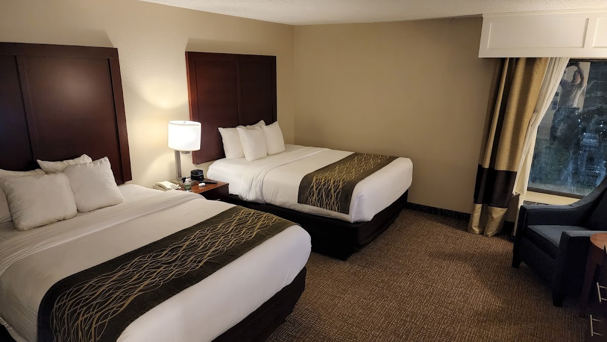 Comfort Inn & Suites Little Rock Airport photo 2