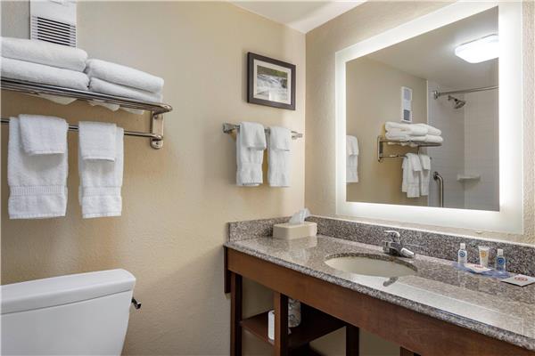 Comfort Inn & Suites Little Rock Airport photo 3