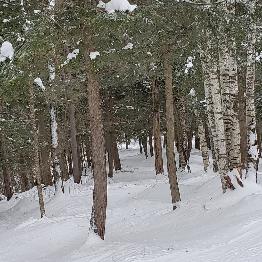 Magic Mountain Ski Area photo 3