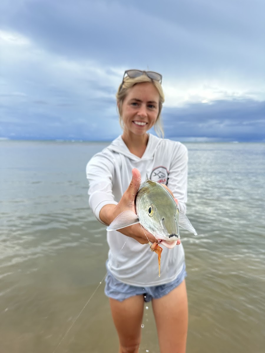 Xcalak On The Fly photo 3
