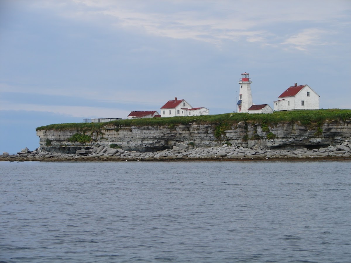 Île aux Perroquets