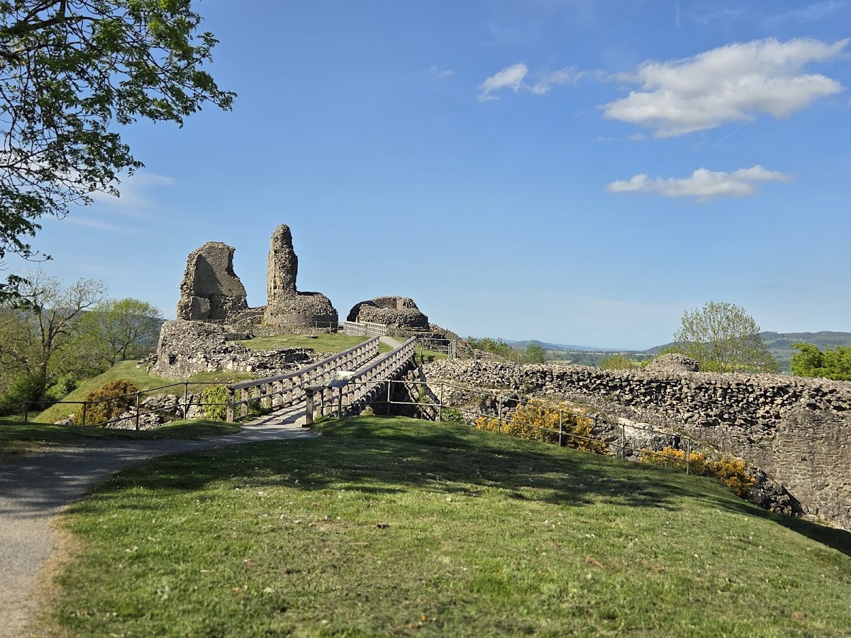 Montgomery Castle
