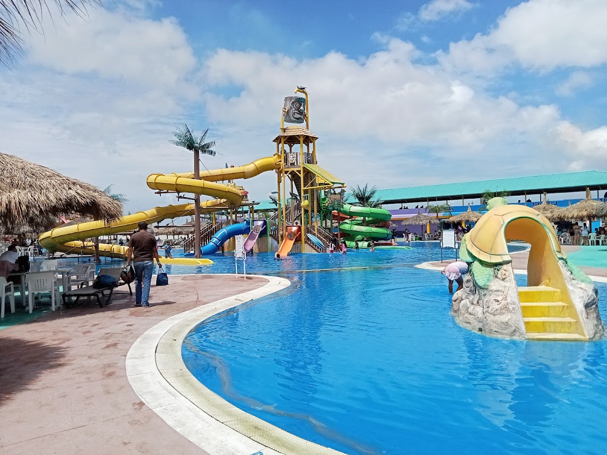 Acuático Alfiland Park Park