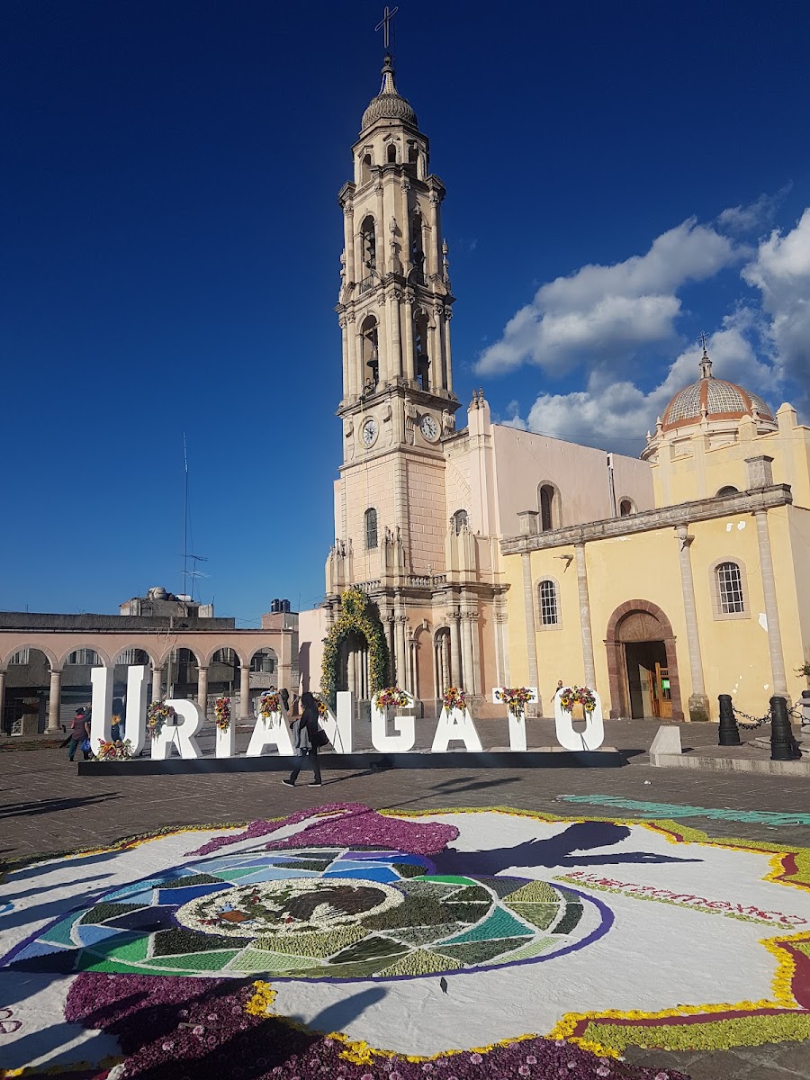 Principal De Uriangato Garden