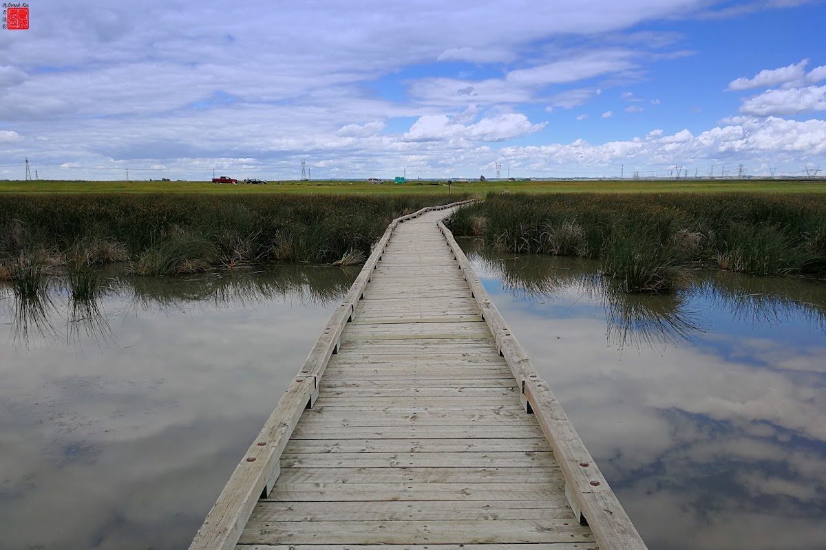 Frank Lake