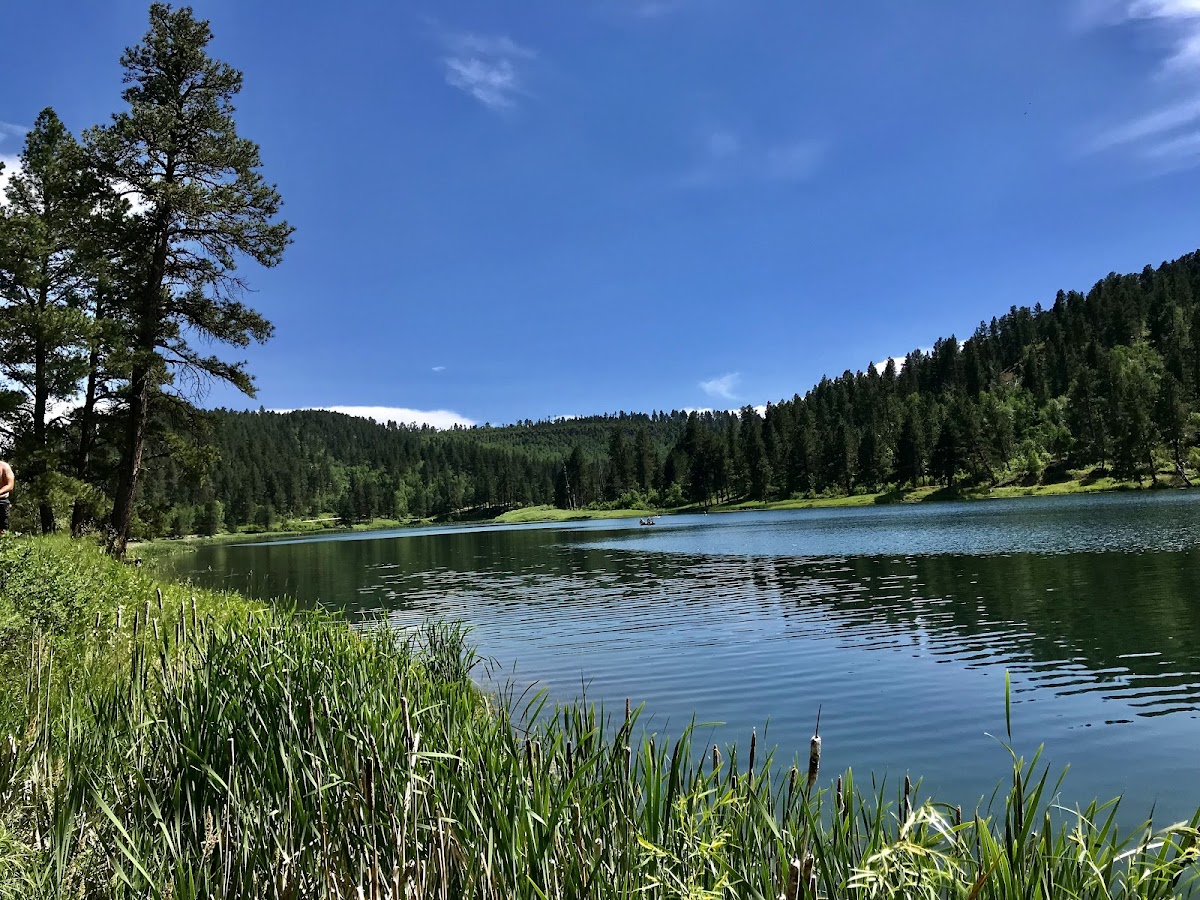 Cook Lake