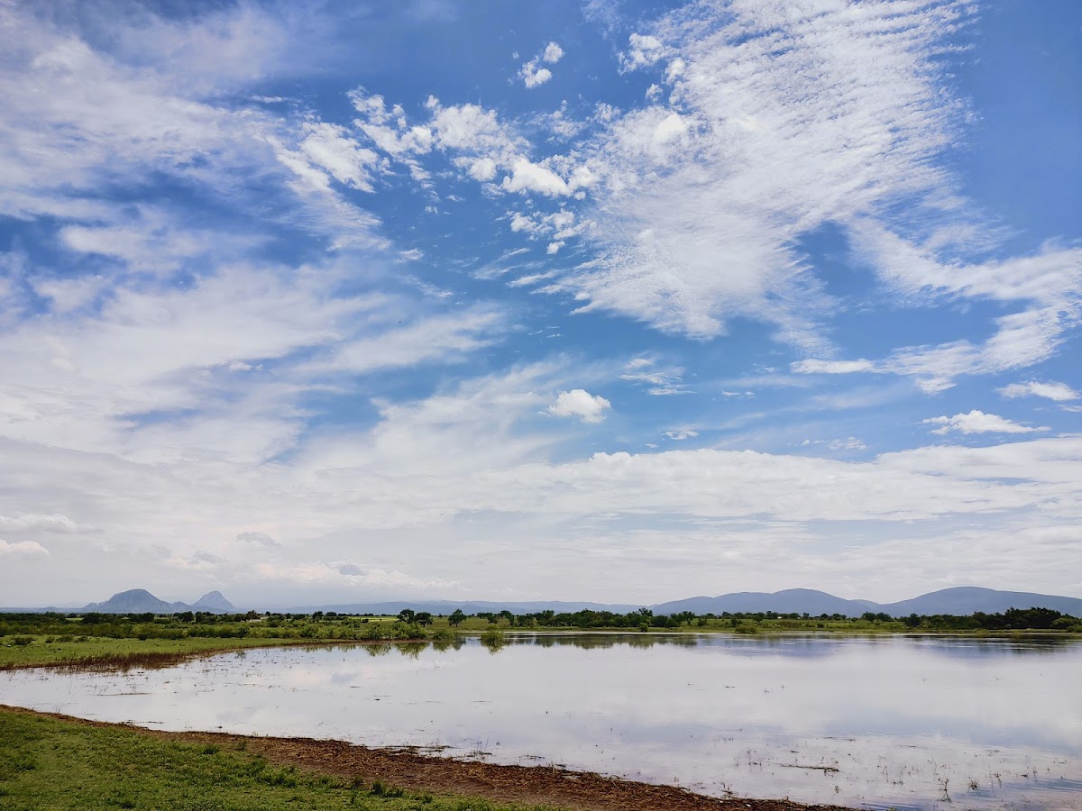Laguna de Axochiapan
