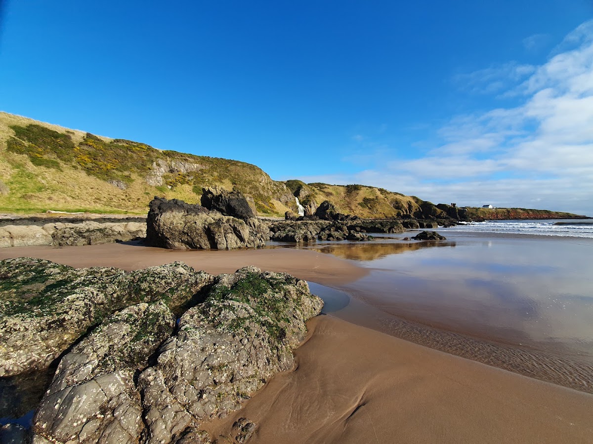 St Cyrus Beach