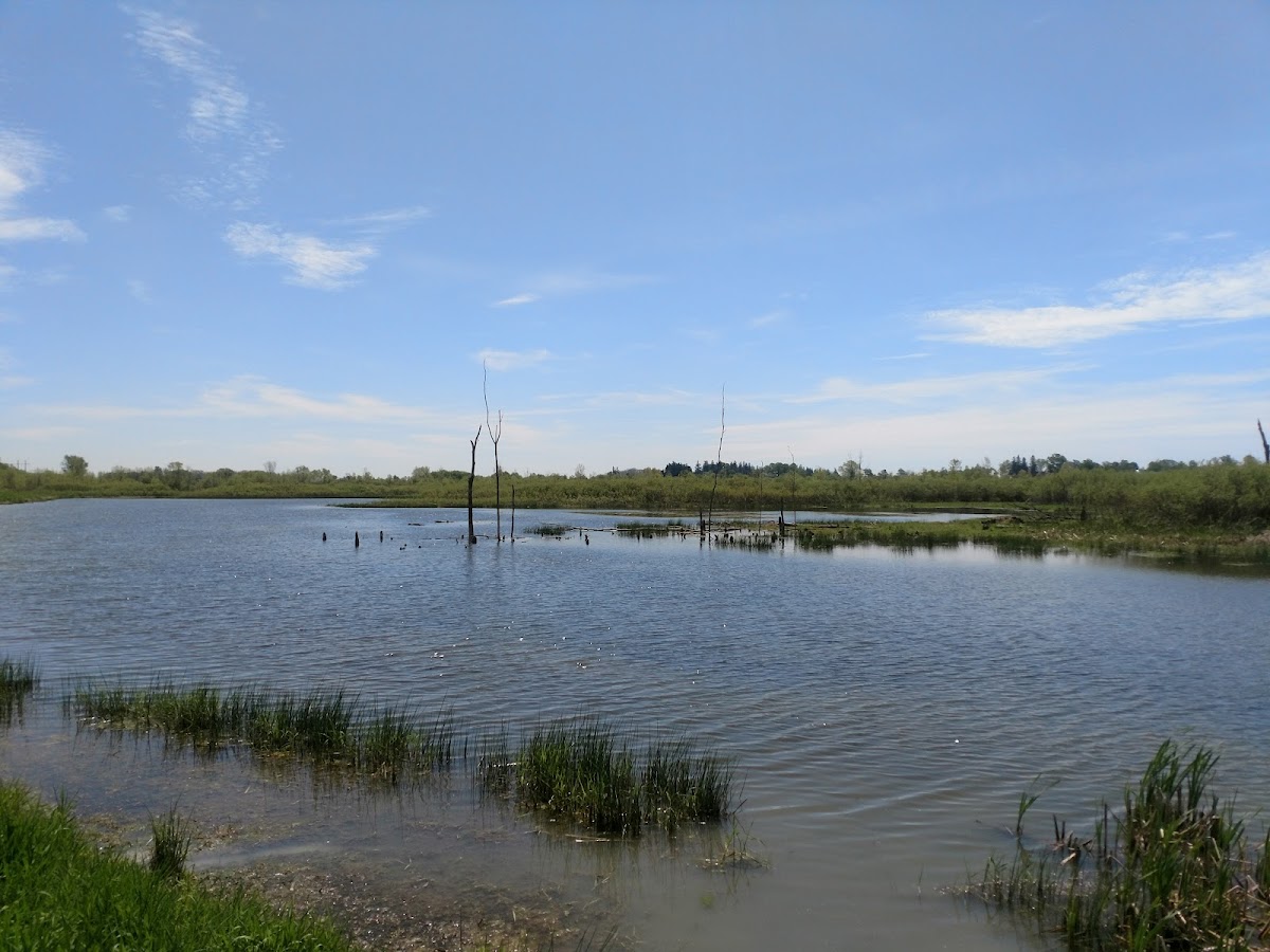 Hullett Provincial Wildlife Area