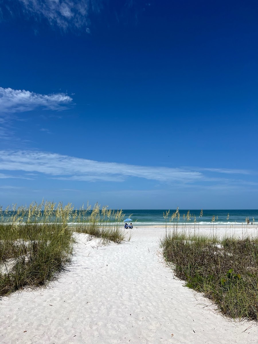 Four Beach Lovers photo 2