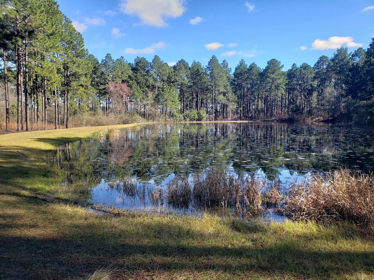 Paradise Public Fishing Area