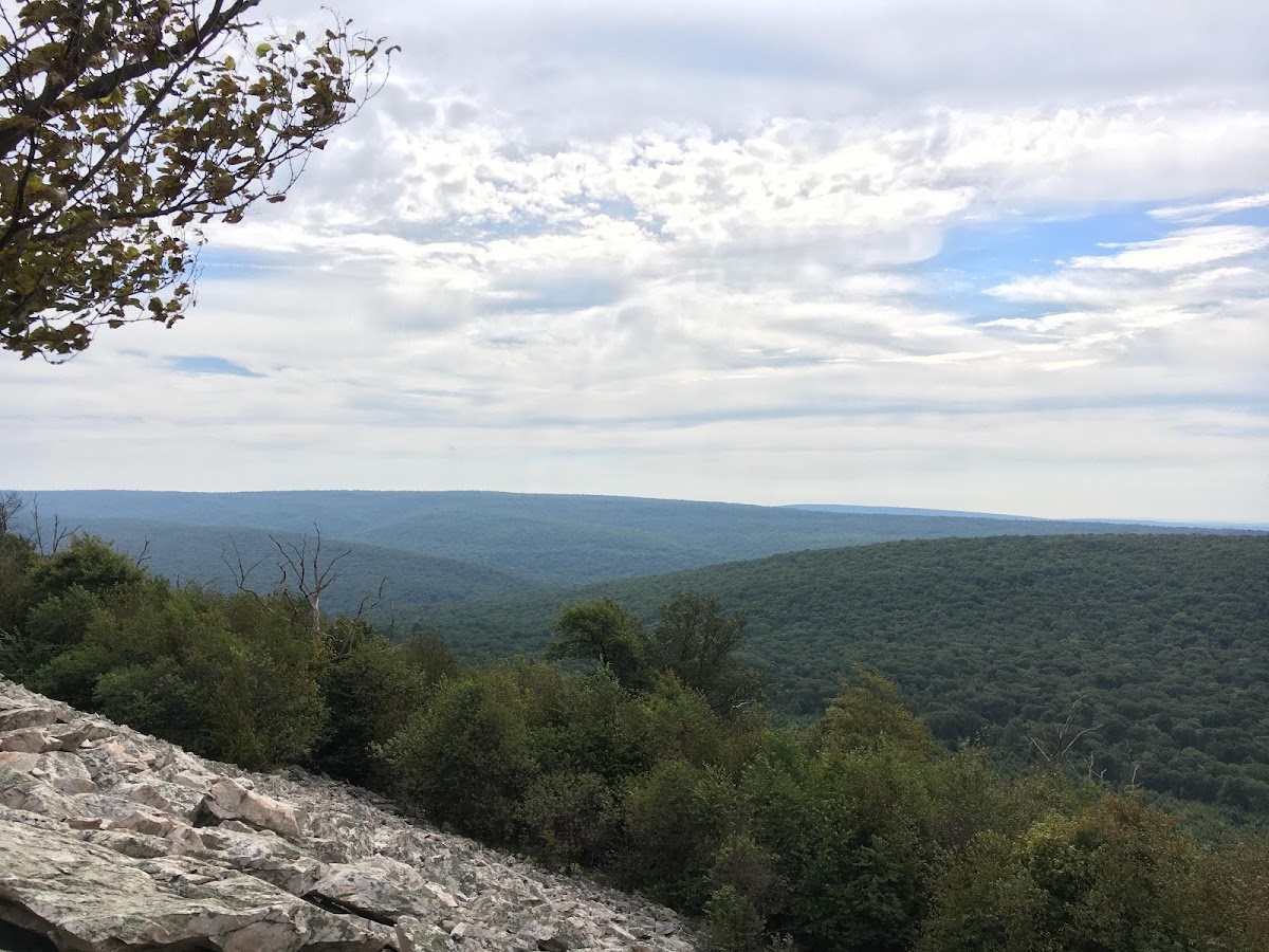 Rothrock State Forest
