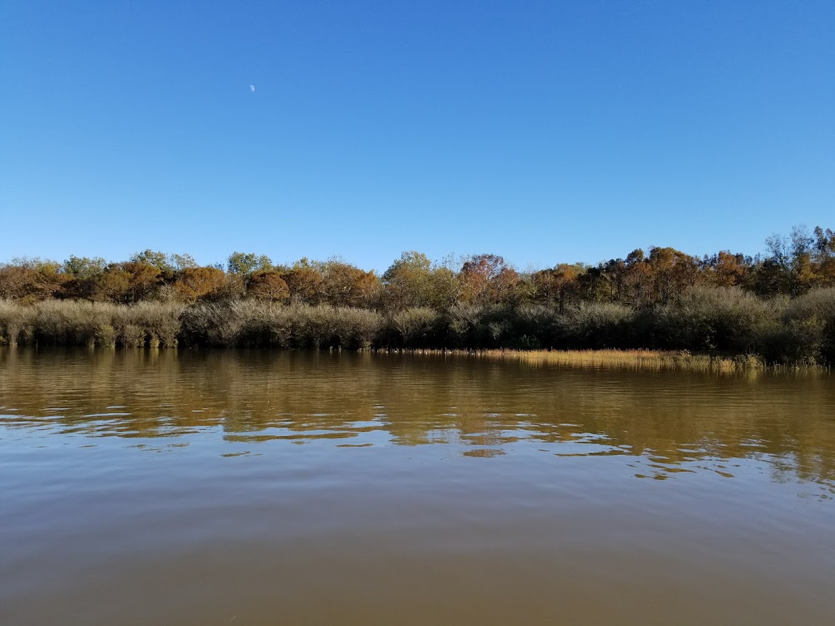 Catahoula National Wildlife Refuge