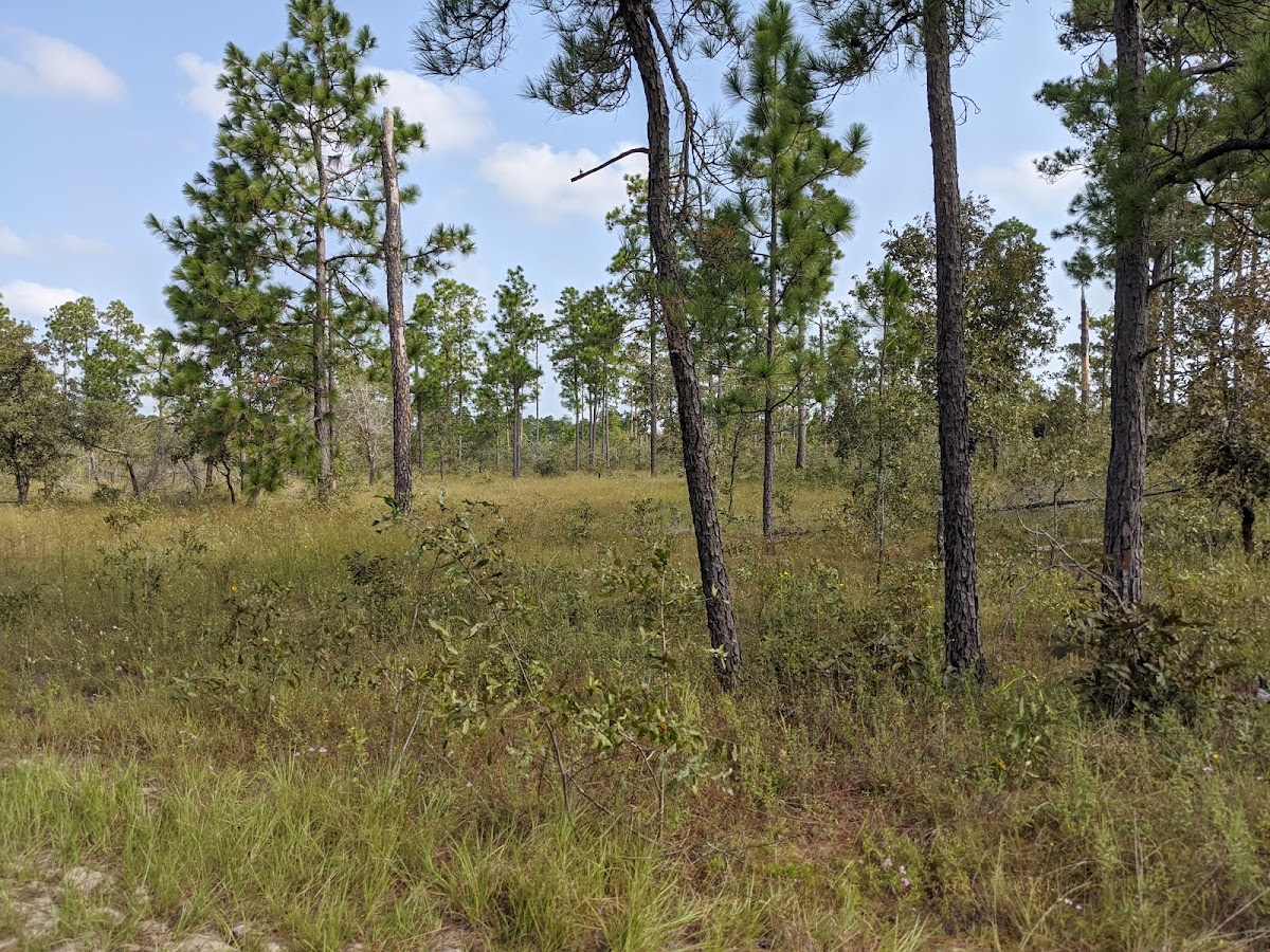 Roy E. Larsen Sandyland Sanctuary