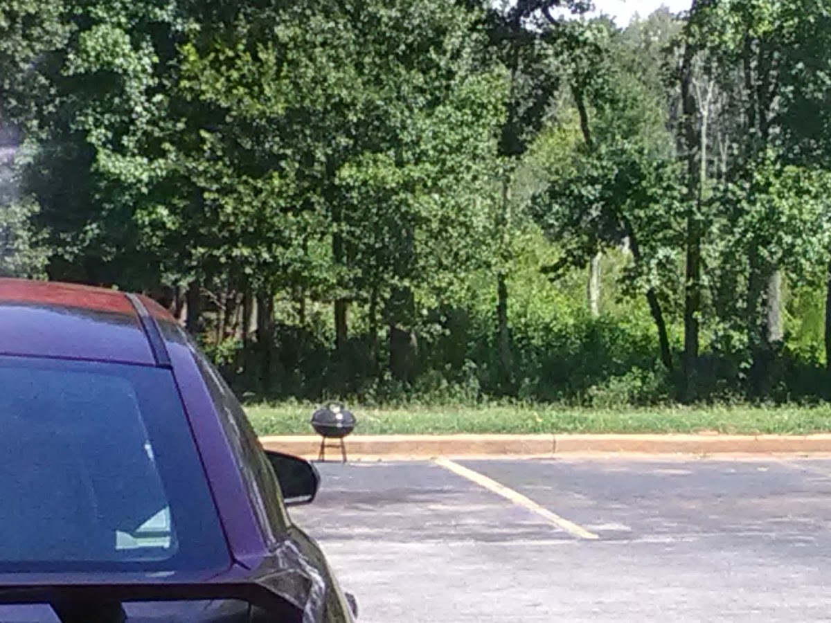 Brookwood Inn photo 2