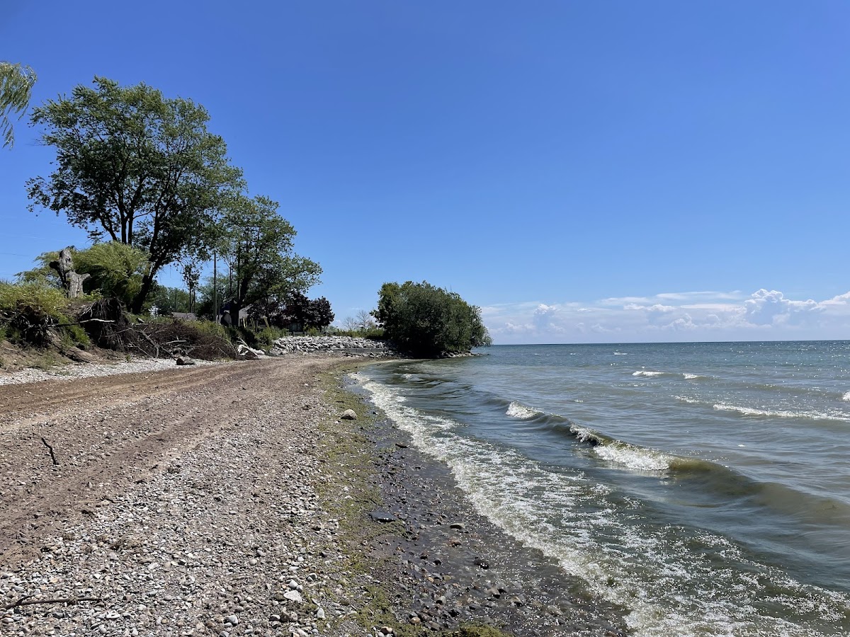 Selkirk Provincial Park