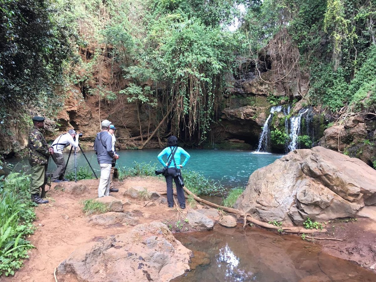 Watch Wild Africa