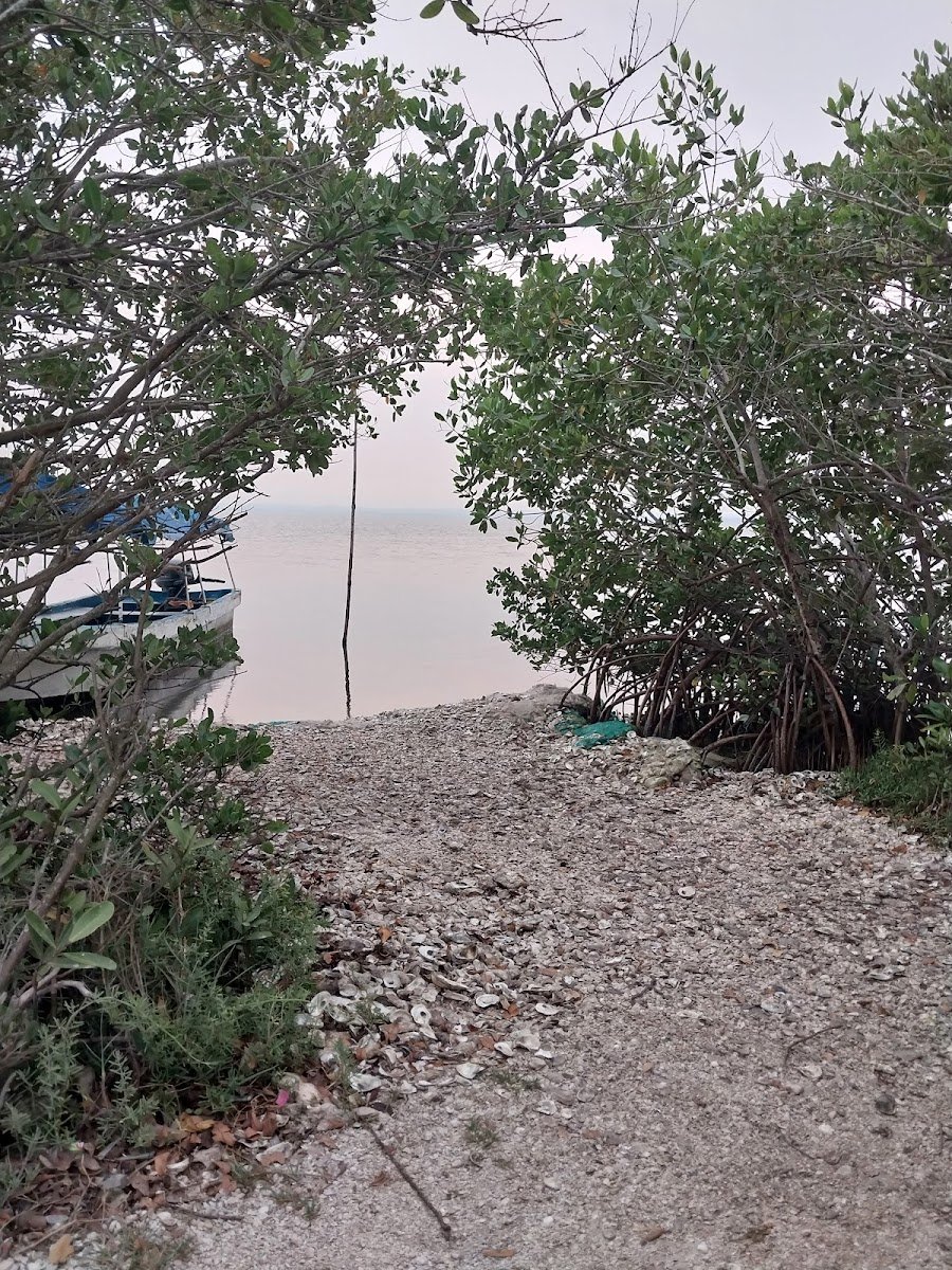 Isla De Las Conchas