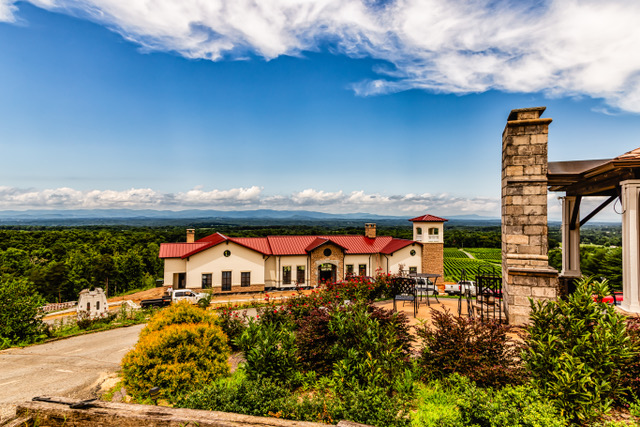 Piccione Vineyards