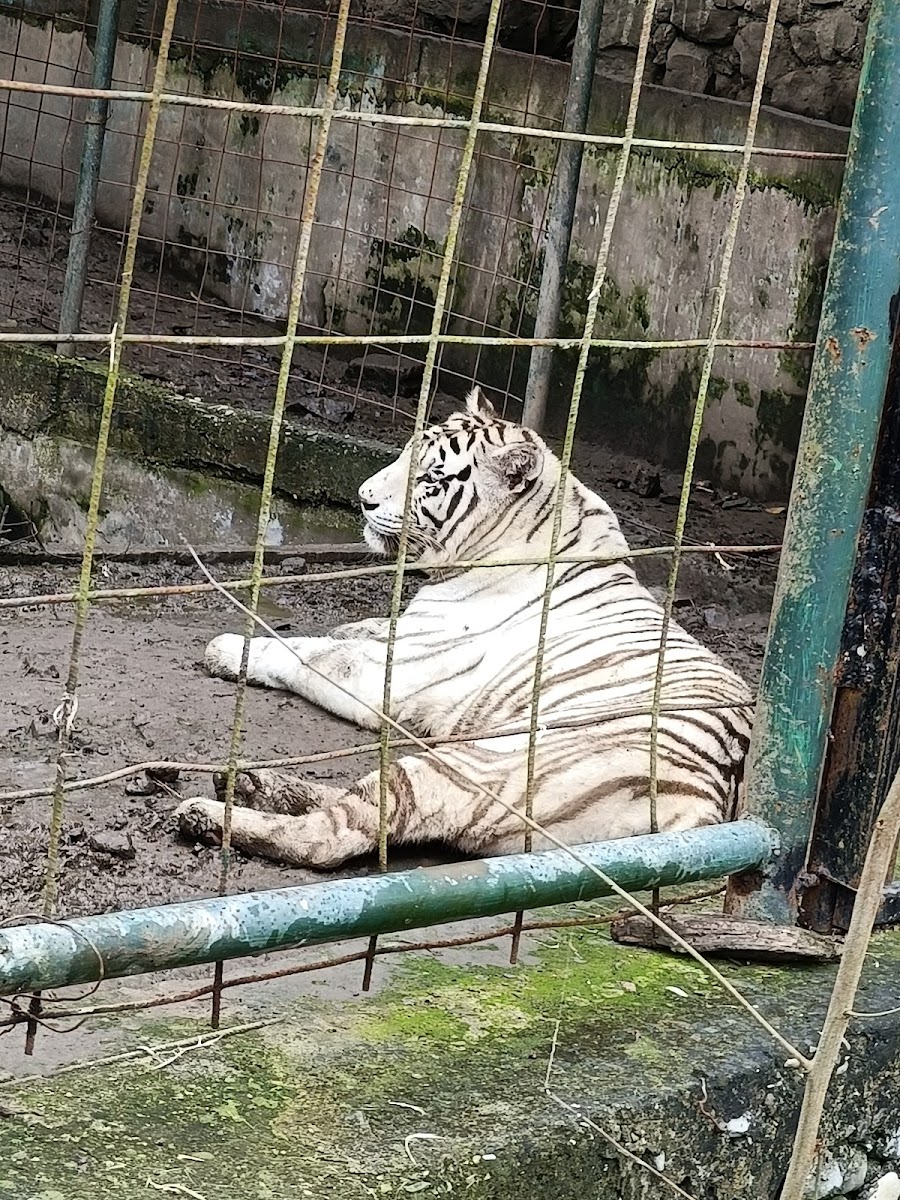Akga'Pun Kitsis'Tanka-Reserva Ecologica