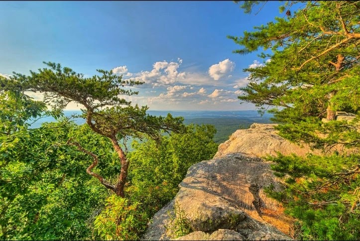 Cheaha State Park Store