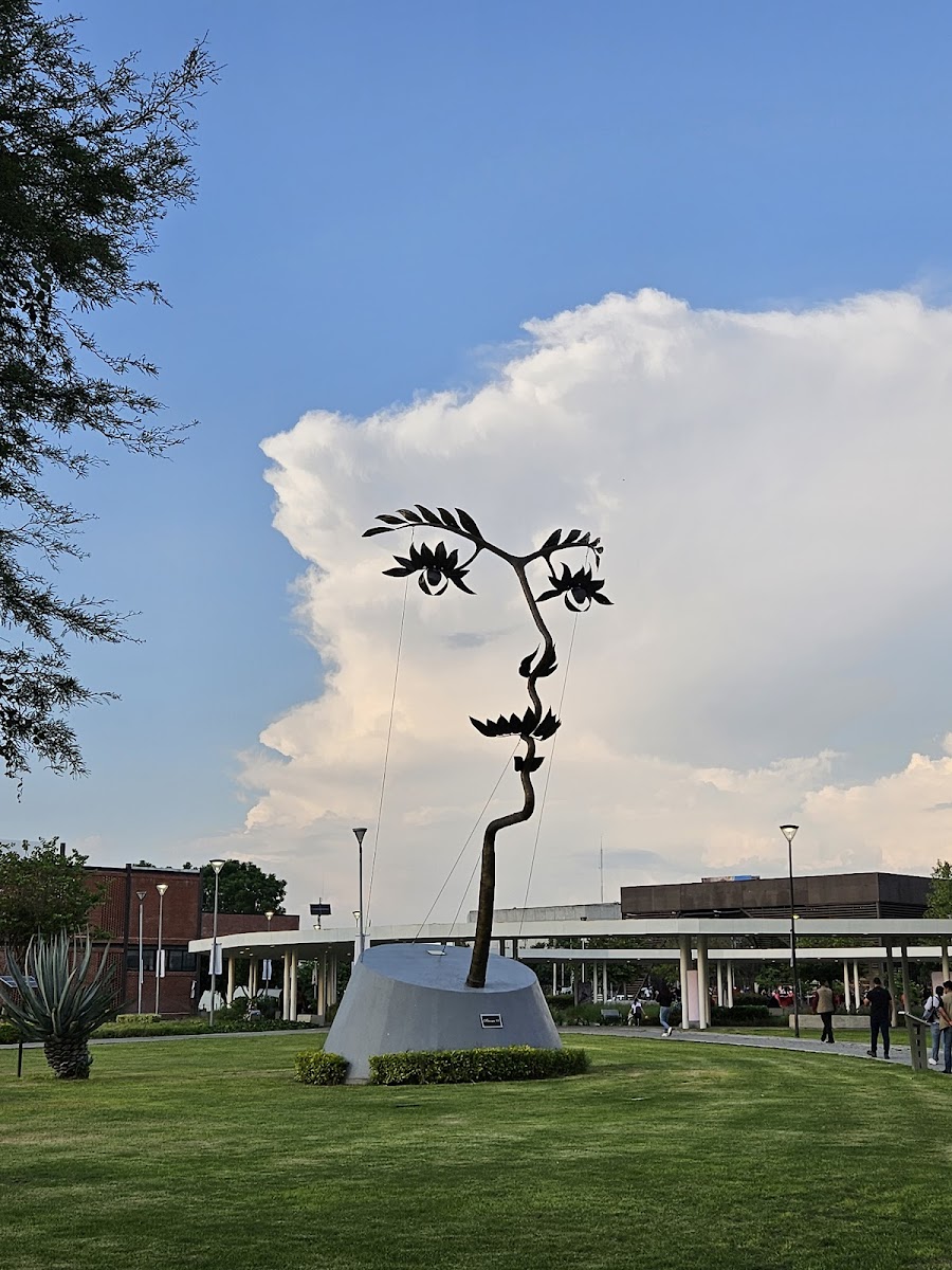 Fundadores 450 Park