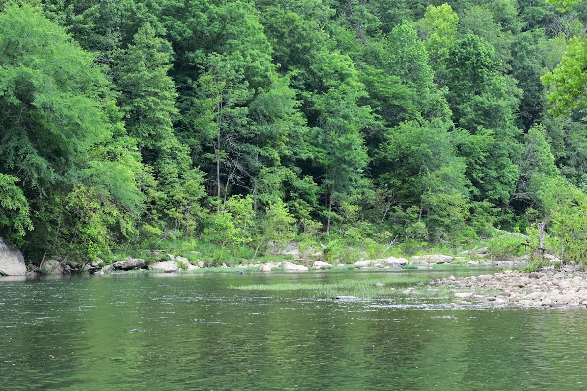 Leatherwood Ford