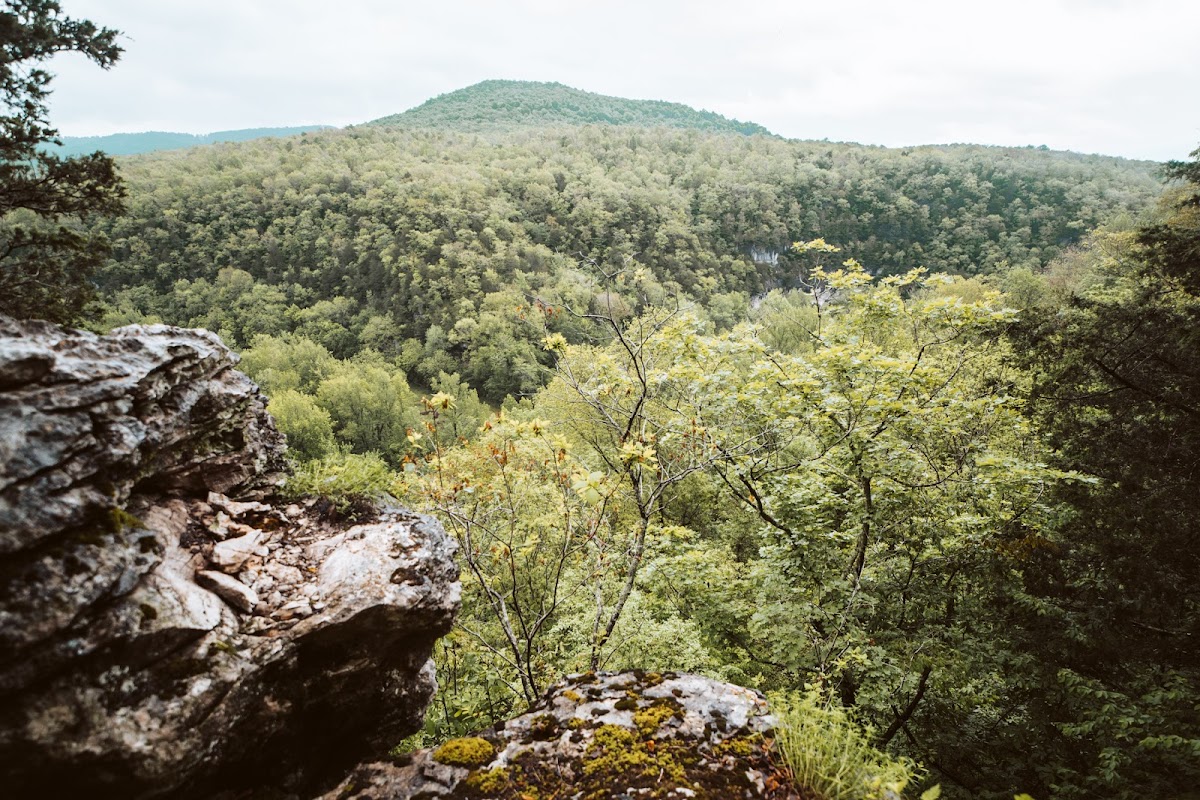 Beckham Creek Cave Lodge photo 3