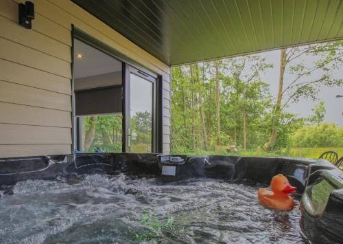 River Logie Lodges photo 3