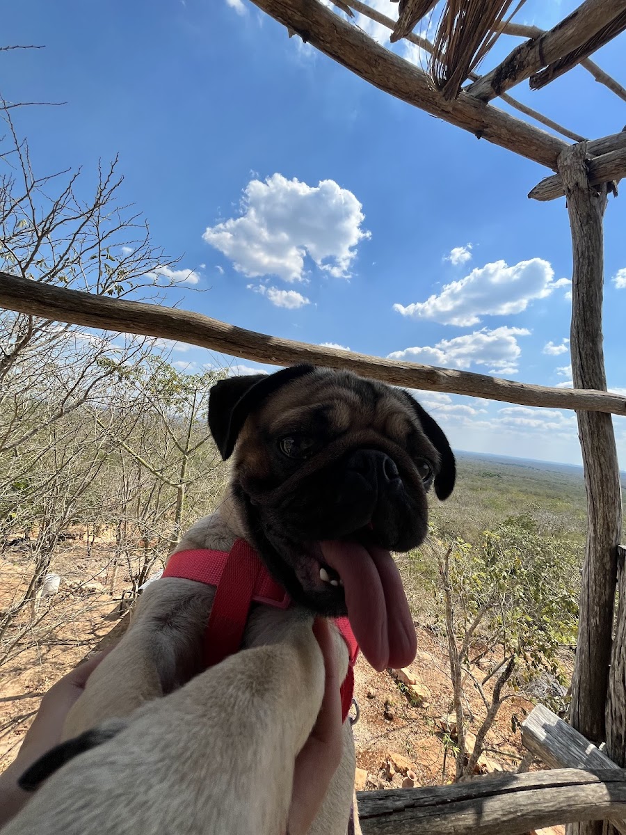 Mirador Muna photo 2