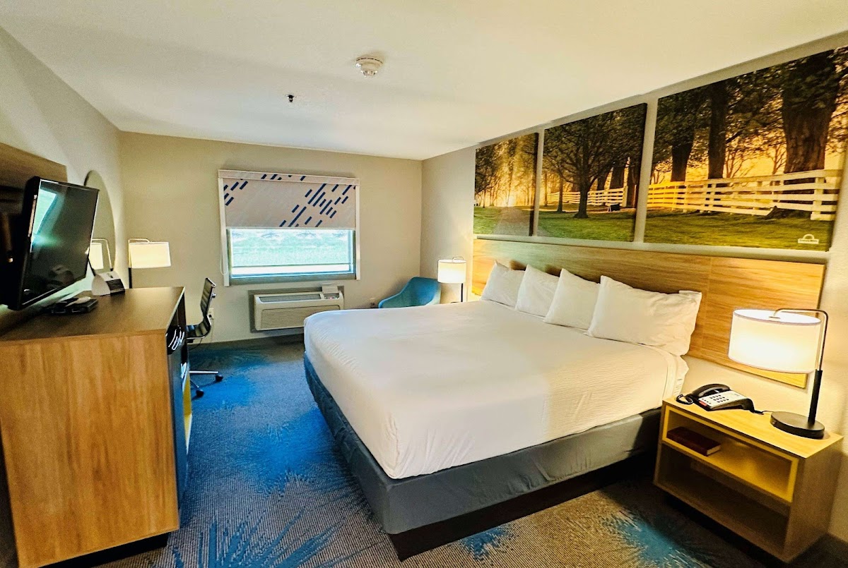 Days Inn & Suites by Wyndham Wynne photo 2