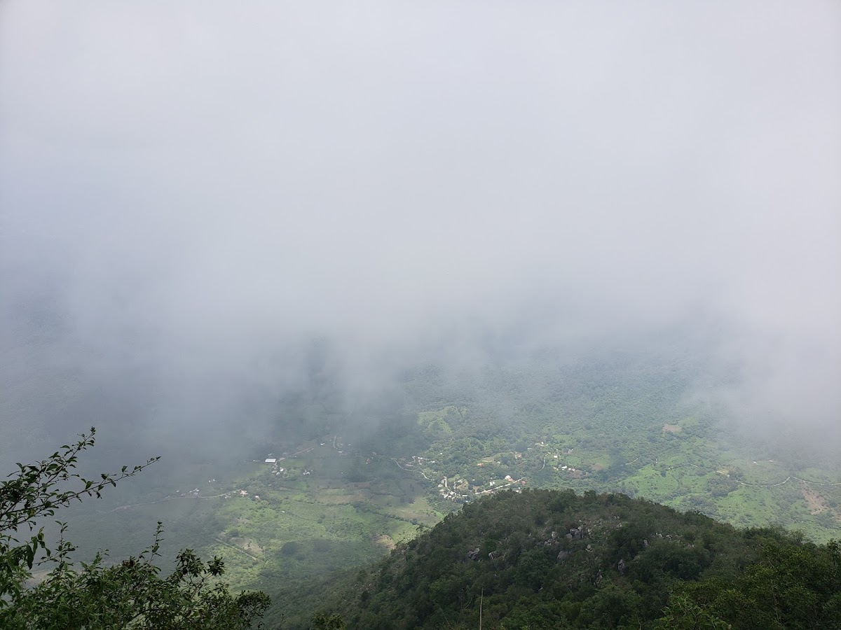 Mirador 