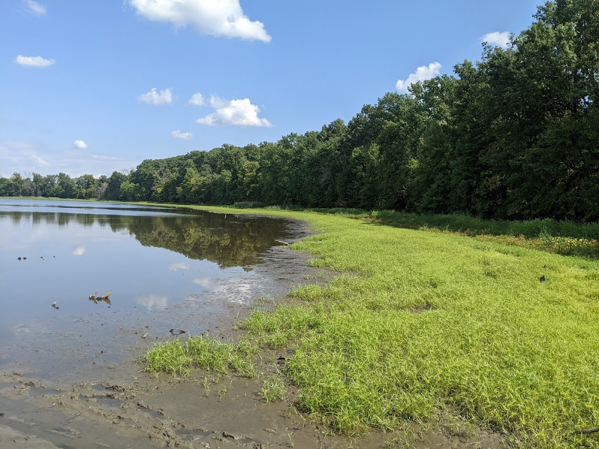 Patoka River National Wildlife Refuge