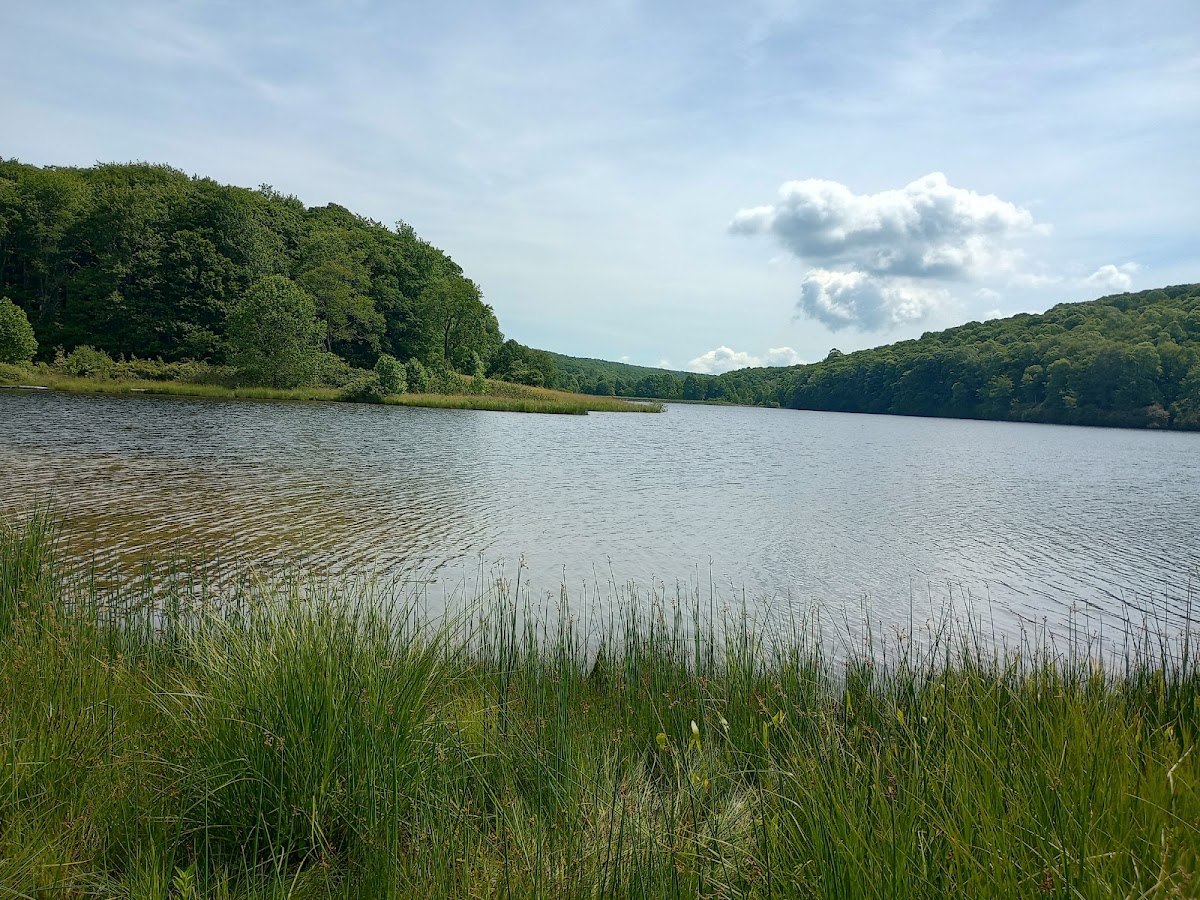 Hidden Valley Wildlife Management Area