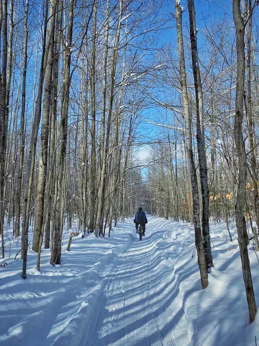 Cadillac Pathway Trailhead