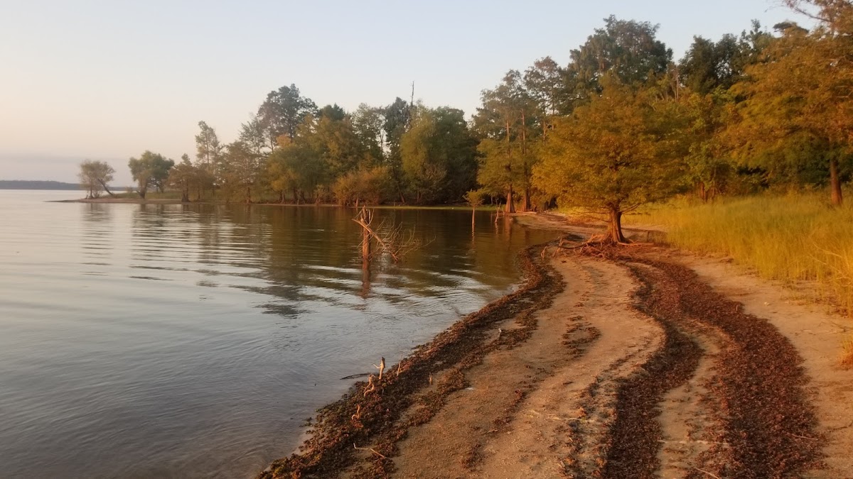 Bannister Wildlife Management Area #903