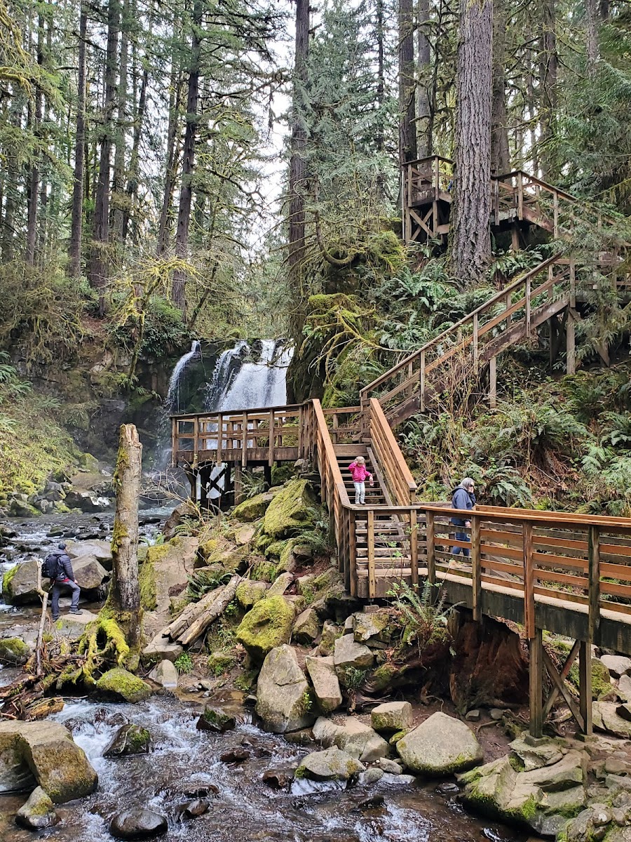 McDowell Creek Falls County Park