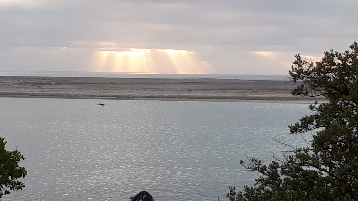 Cabo San Lázaro