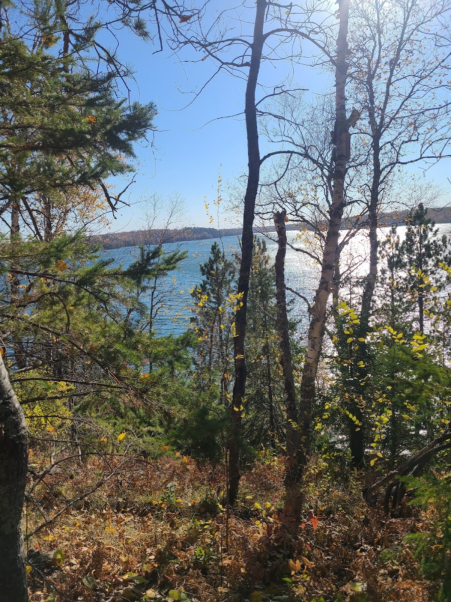 Cormorant Lake