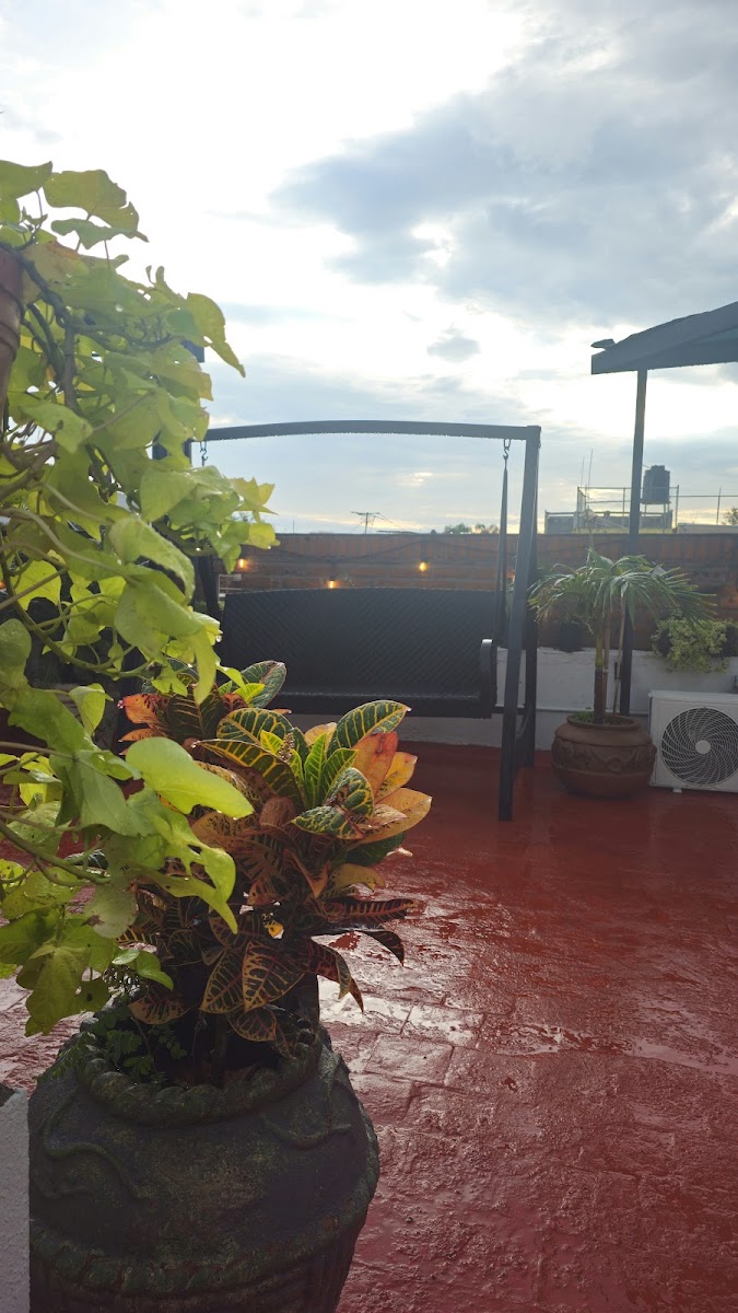 Colibrije hotel boutique photo 2