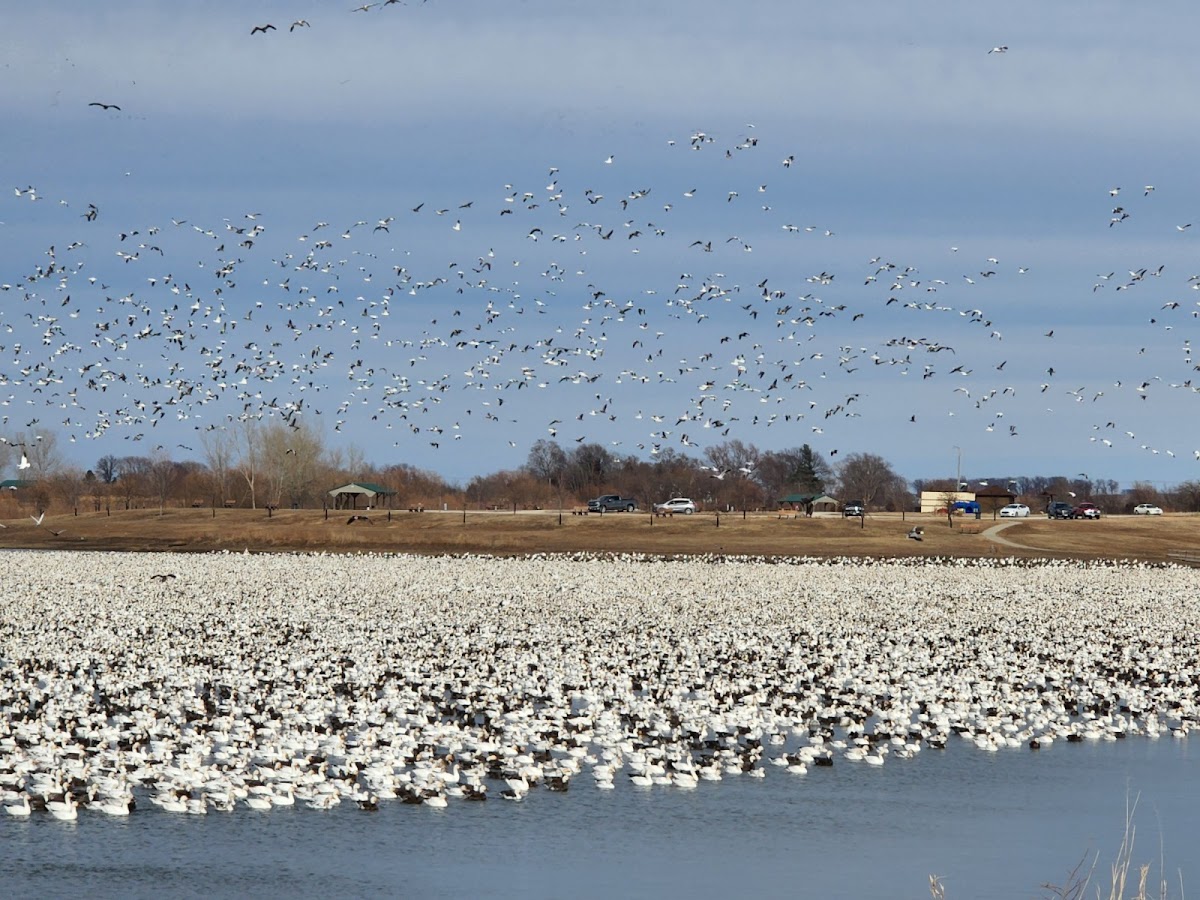 Rapp Park & Recreation Area