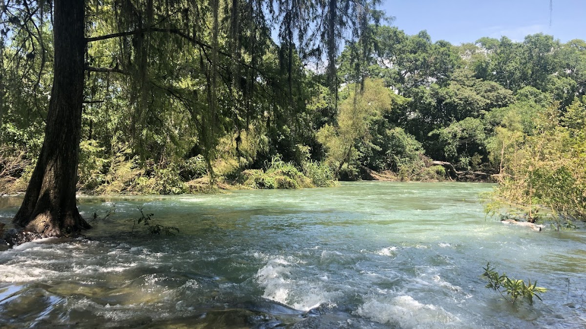 Reserva de la Biósfera El Cielo