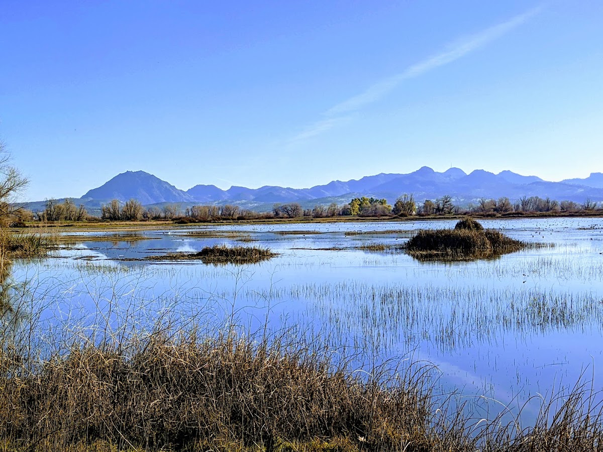 Gray Lodge Wildlife Area