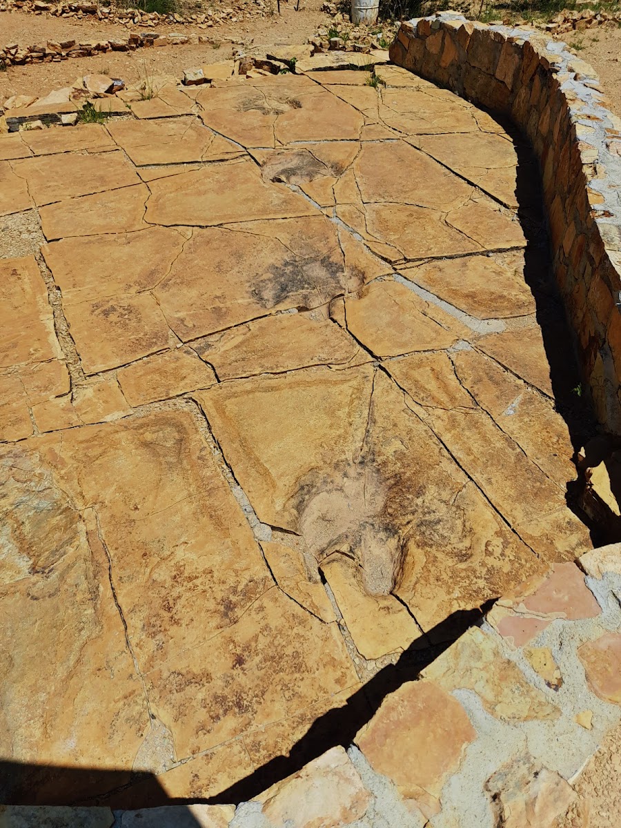 Proyecto Turístico Ecológico Paleontológico Parque de Dinosaurios de Sonora